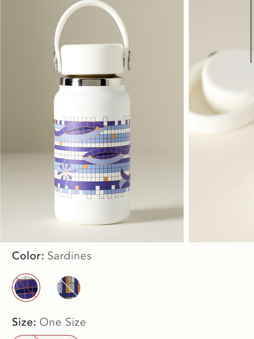 Anthropologie Hydroflask Water Bottle